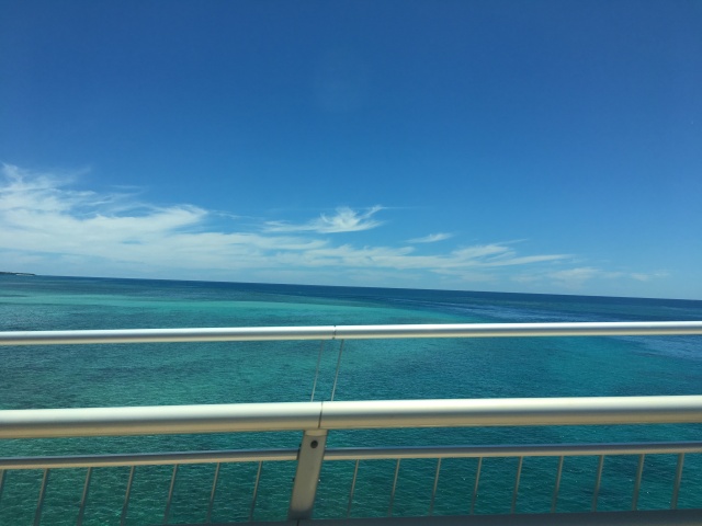 全家邮轮上一起游玩,全家一起游准备什么