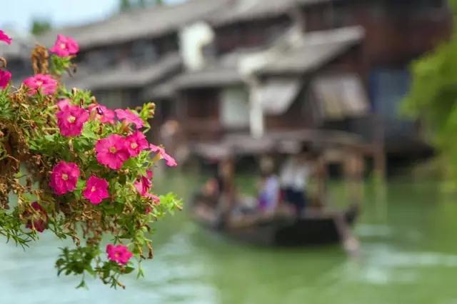 乌镇景区五一需要购票嘛,乌镇旅游必去十大景点门票价格