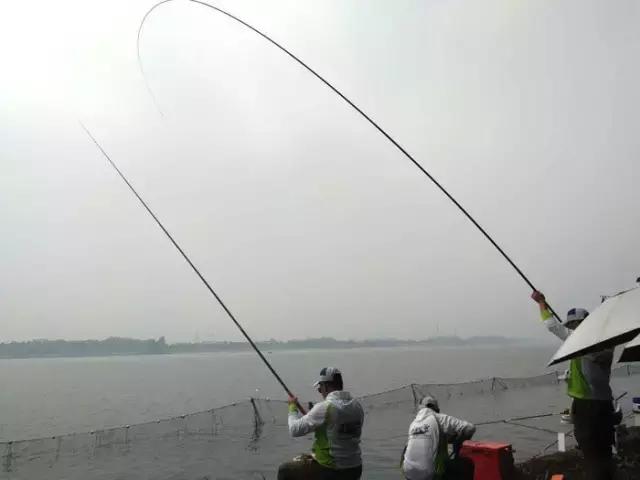 行营钓鱼俱乐部,化氏高湖2024垂钓大赛冠军