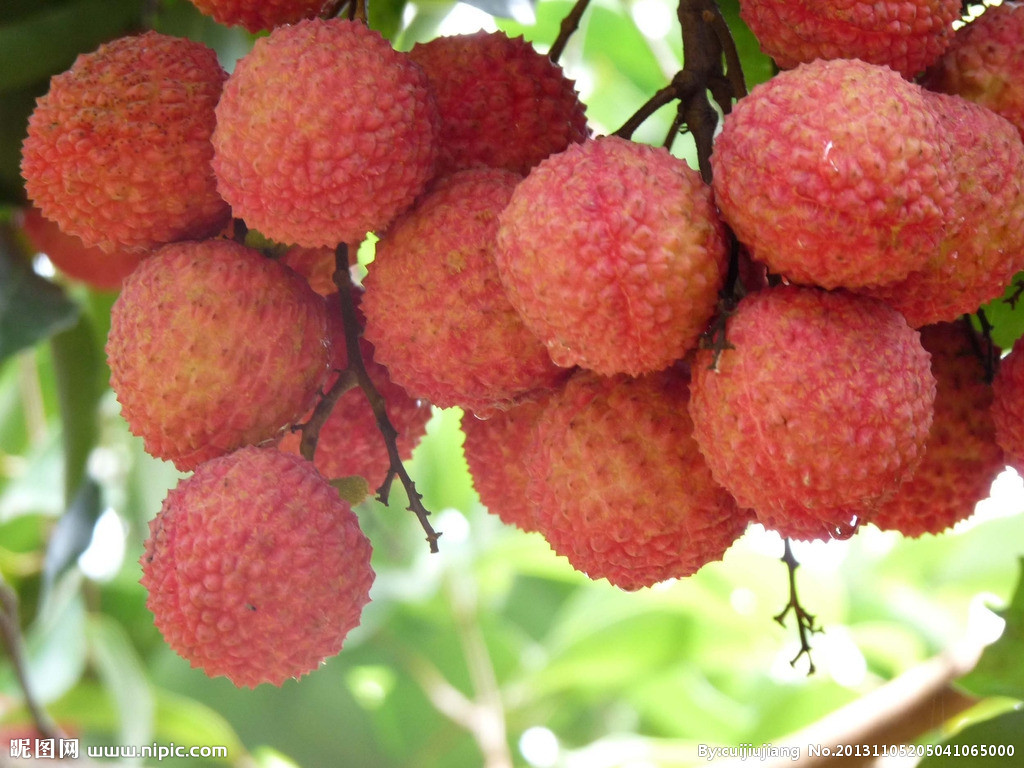 孩子便秘怎么育儿,无忧育儿婴儿便秘