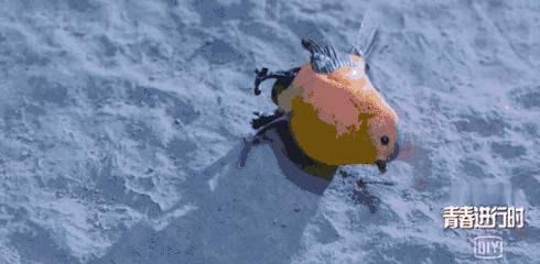 楚乔传烂尾剧有哪些,楚乔传结局让人心痛