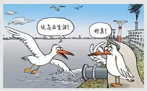 低成本处理烟气脱硝,低成本废气处理