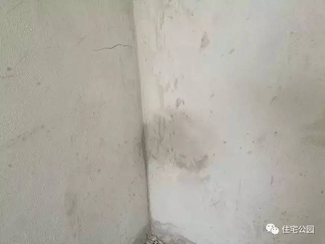 墙体漏水最好的补救方法,墙体渗水怎么补救最好