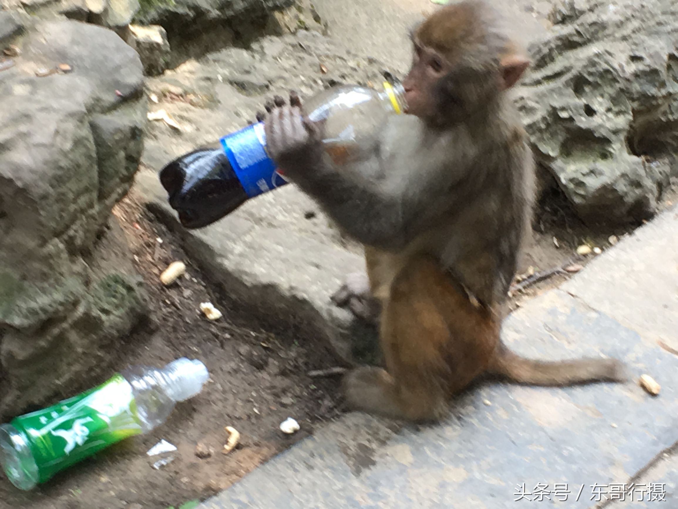 黔灵山附近贵阳酸汤鱼推荐,寻黔记贵州凯里酸汤鱼