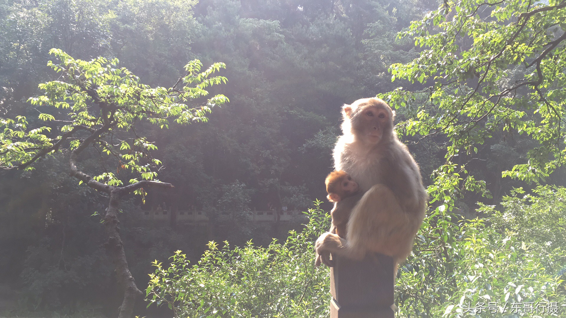 黔灵山附近贵阳酸汤鱼推荐,寻黔记贵州凯里酸汤鱼