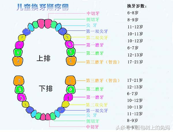 孩子几岁换牙正常从哪里开始换牙,儿童一般几岁开始换牙比较好
