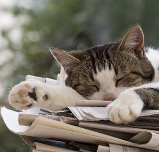 打呼噜也是病学会这一招轻松止鼾,打呼噜是睡得香其实是健康大敌