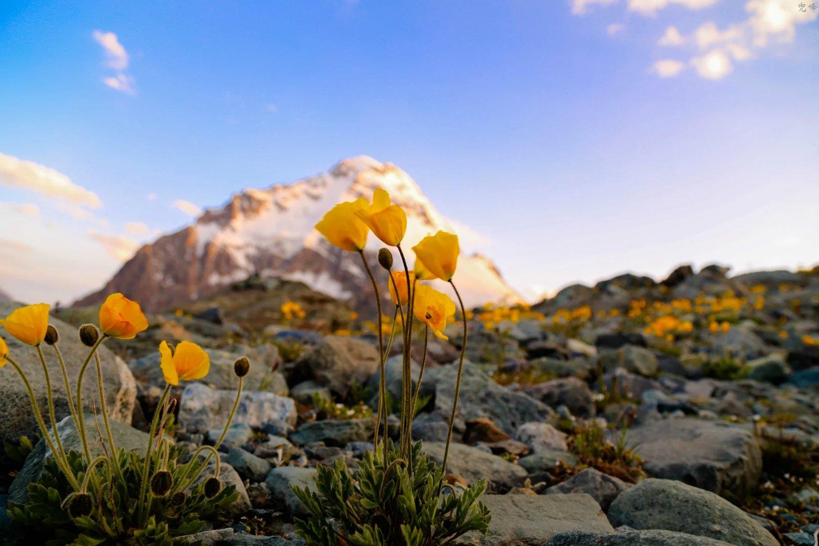 博格达爬大峰可以吗,博格达峰翻越天山