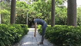 如何恢复脊柱灵活性,保持脊柱有弹性的秘诀