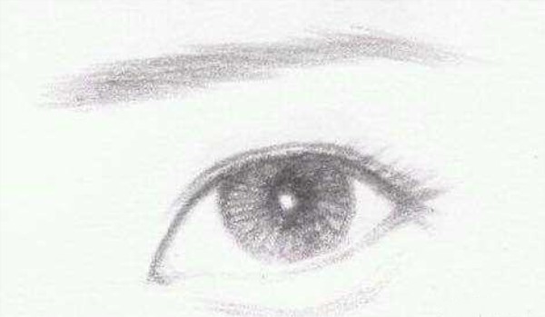 眼综合现在有几种眼型,眼型分几种类型图解