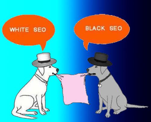黑帽seo和白帽seo,seo白帽和黑帽是什么意思呀