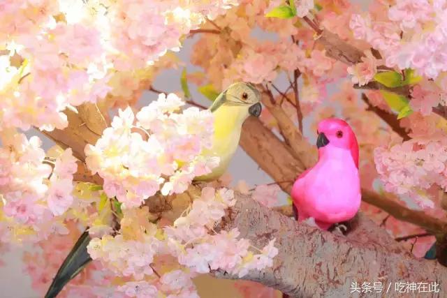 长洲岛竟有座半山望江恐龙主题酒店！吃住玩样样齐！