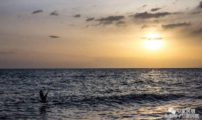 最美丽的青海湖,美丽的青海湖风景如画心旷神怡