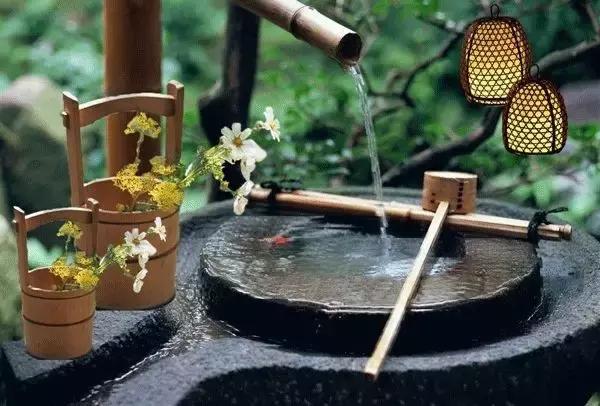 竹子开花后死亡，只是一种正常的自然现象