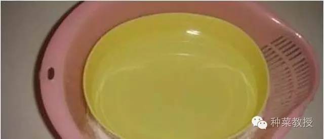 阳台种菜的土没有营养了怎么办,种子种菜阳台教程