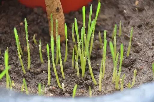 好文好句子正能量,好文励志句子