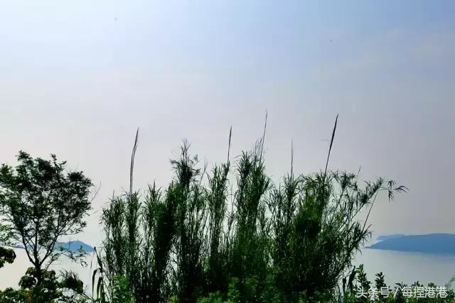 浙江台州温岭古镇,浙江温岭旅游区