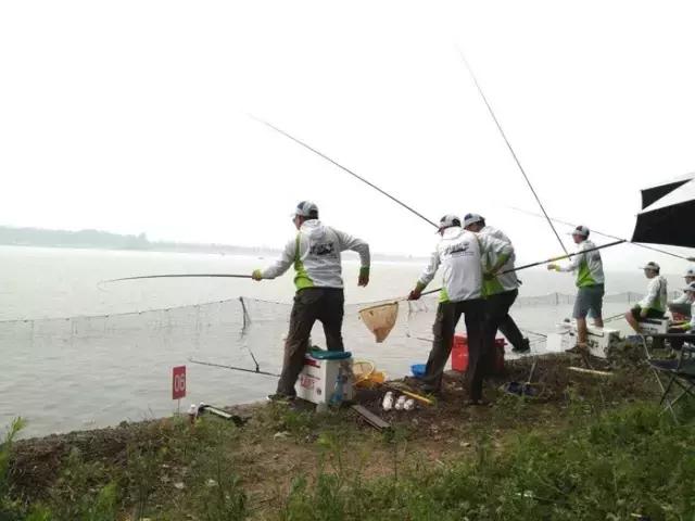 行营钓鱼俱乐部,化氏高湖2024垂钓大赛冠军