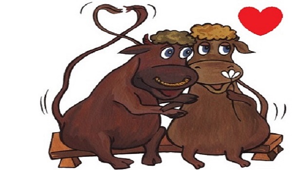 属牛女人2017年财运,8月属牛财运