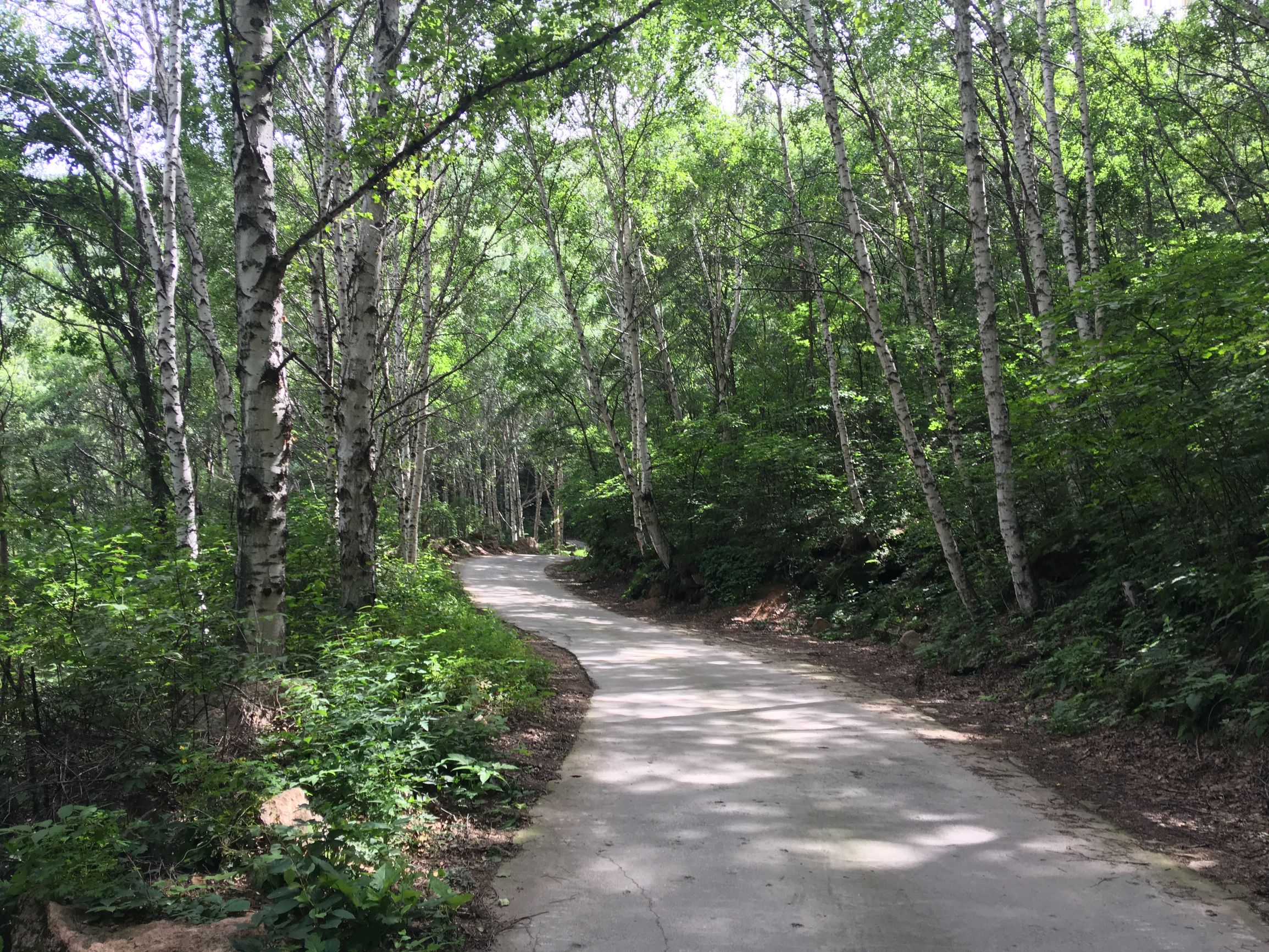 自驾滦平，一个青山环抱空气清新的清凉之地，现在没人速来