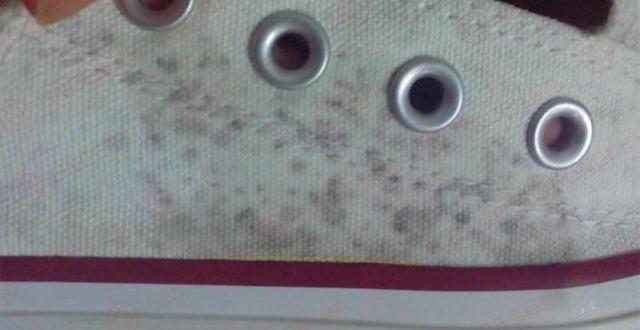 帆布鞋要防霉先从帆布下手，防霉剂搭配其他方法实现帆布鞋防霉成功