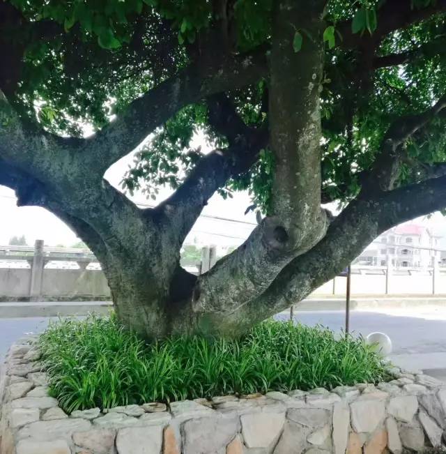 行走山水之间远离城市喧嚣,行走在浙江温州风景