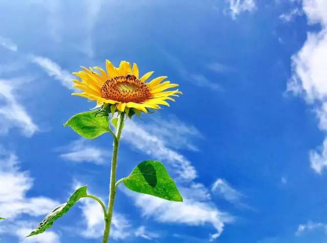 行走山水之间远离城市喧嚣,行走在浙江温州风景