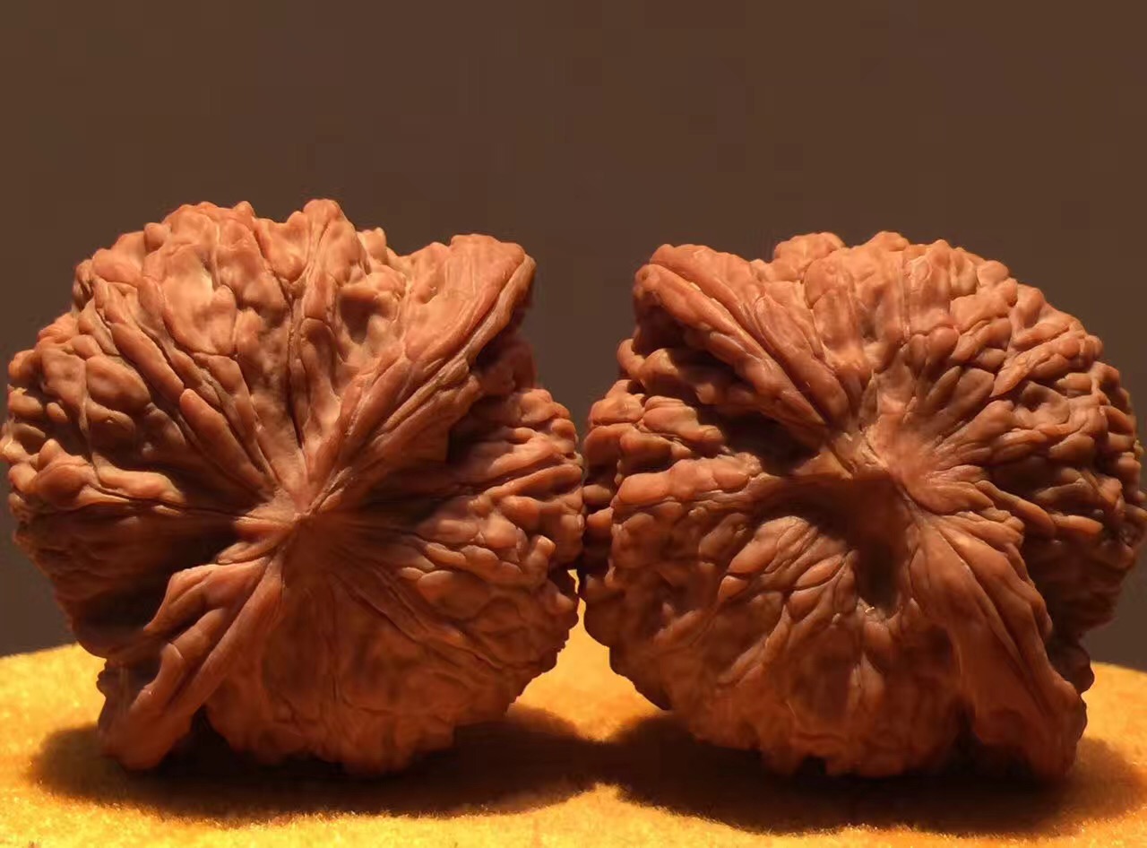 正磨盘狮子头和歪磨盘的区别,玩了十年的磨盘狮子头