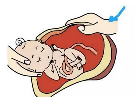 孕妈妈知识早知道,孕妈妈的有关知识