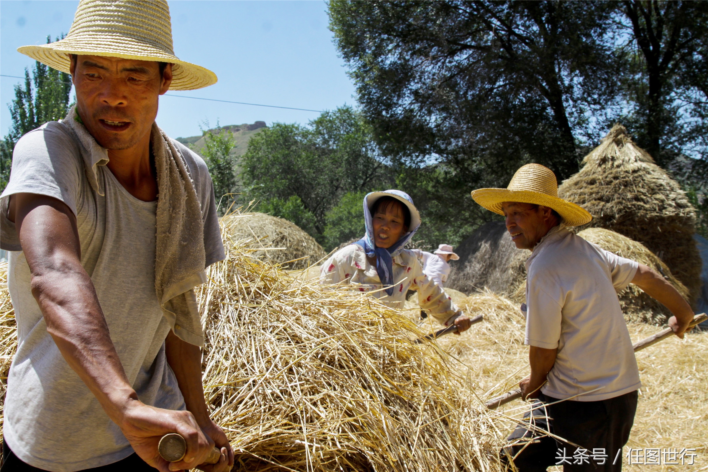 炎炎夏日发的句子,炎炎夏日乡村的说说