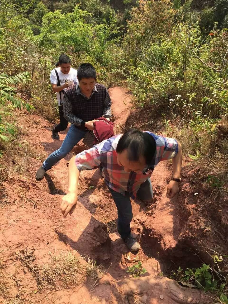 扶贫云南茶,云南茶叶今日热点