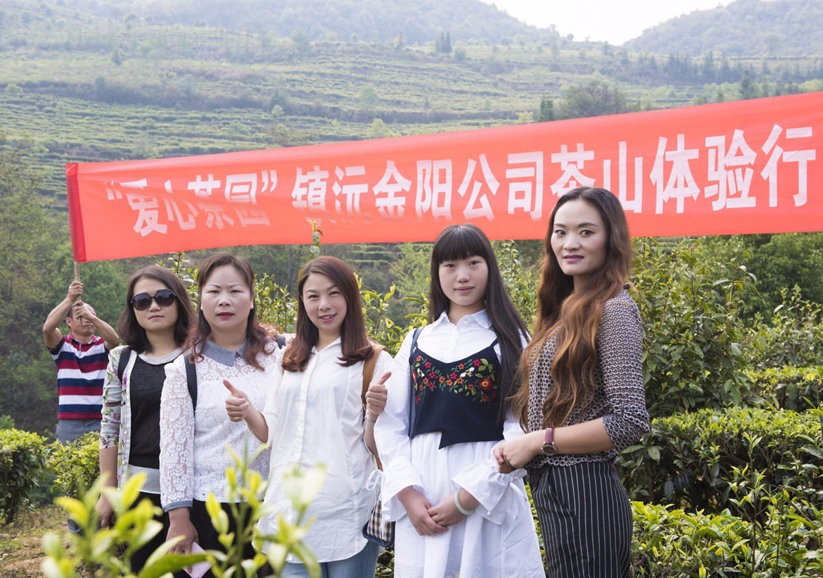 扶贫云南茶,云南茶叶今日热点