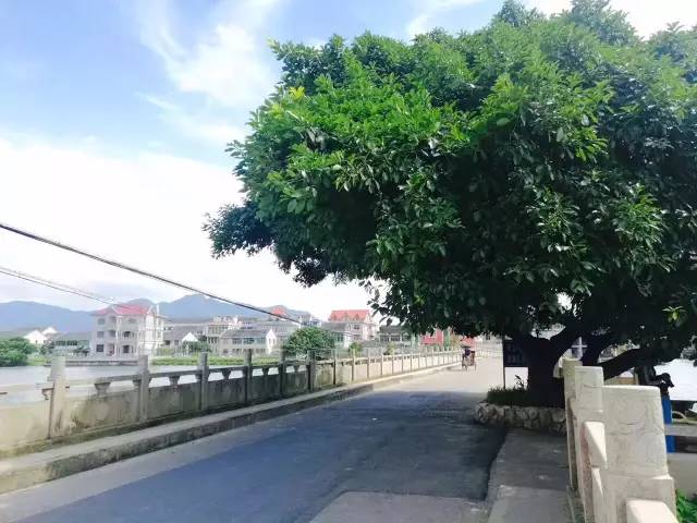 行走山水之间远离城市喧嚣,行走在浙江温州风景