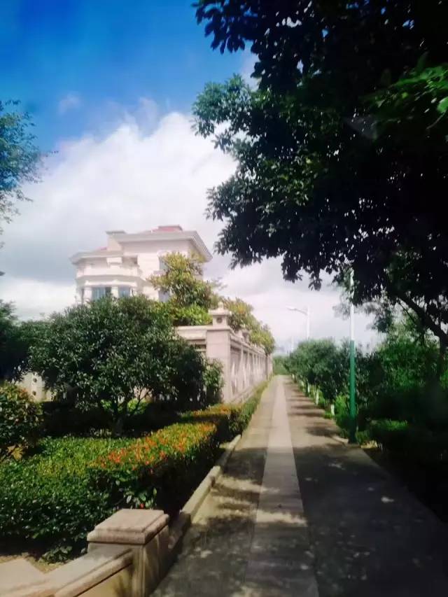 行走山水之间远离城市喧嚣,行走在浙江温州风景