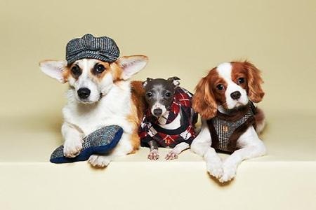 小额投资有什么创业项目,目前最赚钱的小投资项目