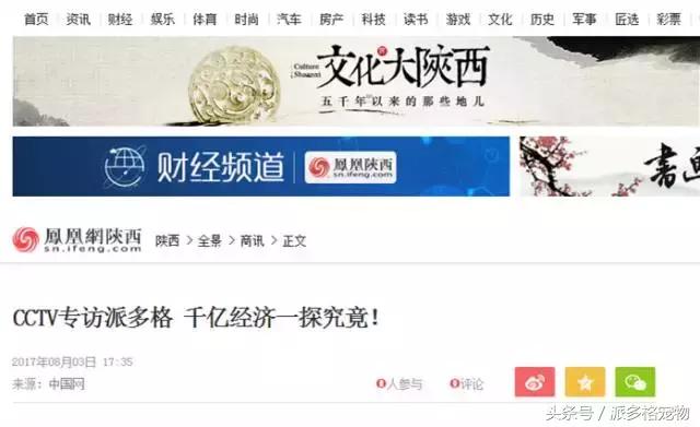 cctv采访万涛,cctv专访