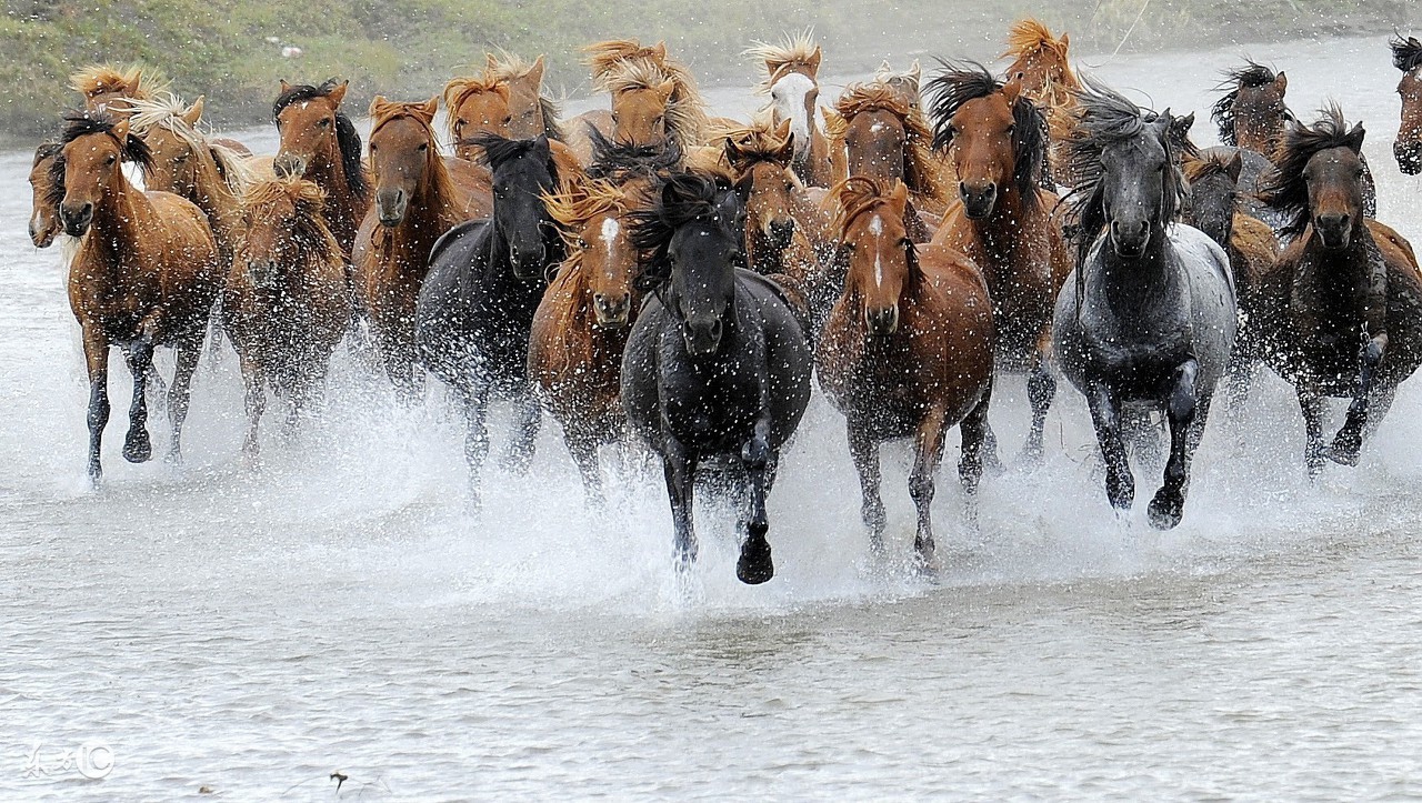 一站式英语视频教程,一站式英语学习