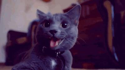 初春时节，西伯利亚寒气袭人，a国间谍史密夫执行任务时，失手被擒，其后被关在高原上的木屋内