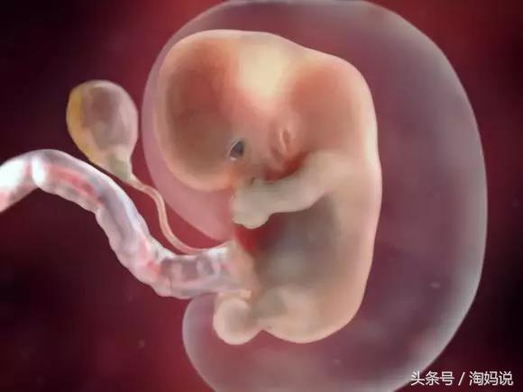 胎儿发育40周全过程关注事项,赞宝宝训练抬头的句子