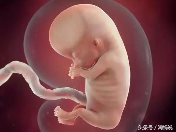 胎儿发育40周全过程关注事项,赞宝宝训练抬头的句子