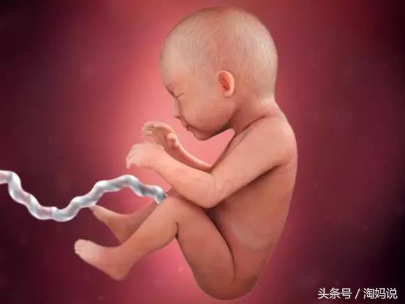 胎儿发育40周全过程关注事项,赞宝宝训练抬头的句子