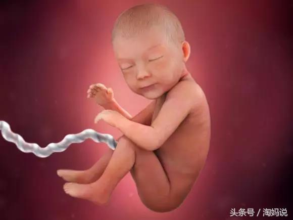 胎儿发育40周全过程关注事项,赞宝宝训练抬头的句子