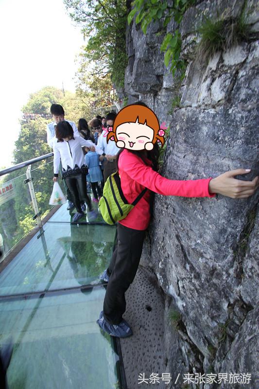 张家界森林公园黄龙洞,张家界天门山森林公园四天攻略