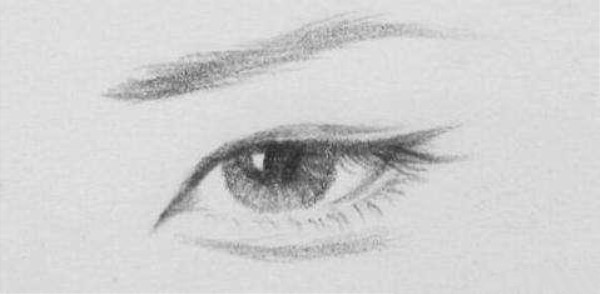 眼综合现在有几种眼型,眼型分几种类型图解