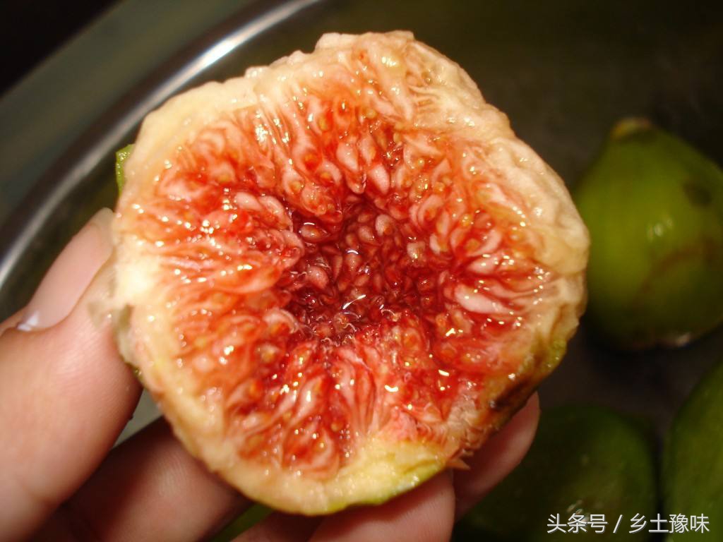 农村这种果子太诱人，吃到嘴烂还想吃，叶子还能治脚气