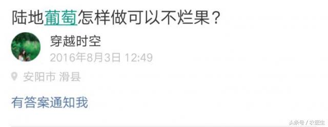 葡萄烂杆烂叶烂果用什么药水,葡萄发芽前打什么药不烂果