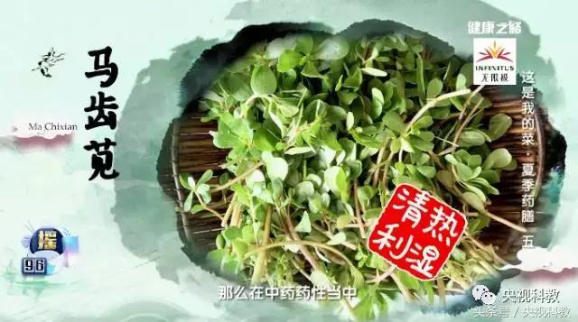 常吃野菜营养又健康,野菜的健康营养