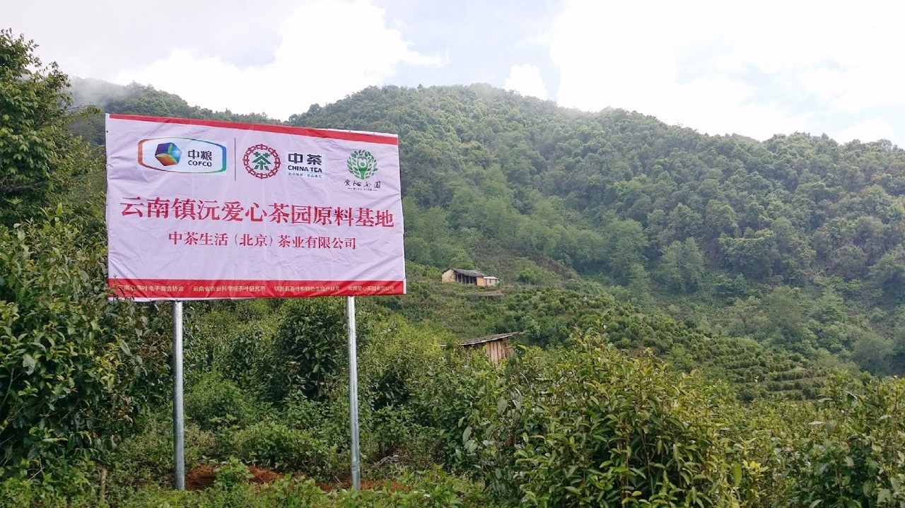 扶贫云南茶,云南茶叶今日热点