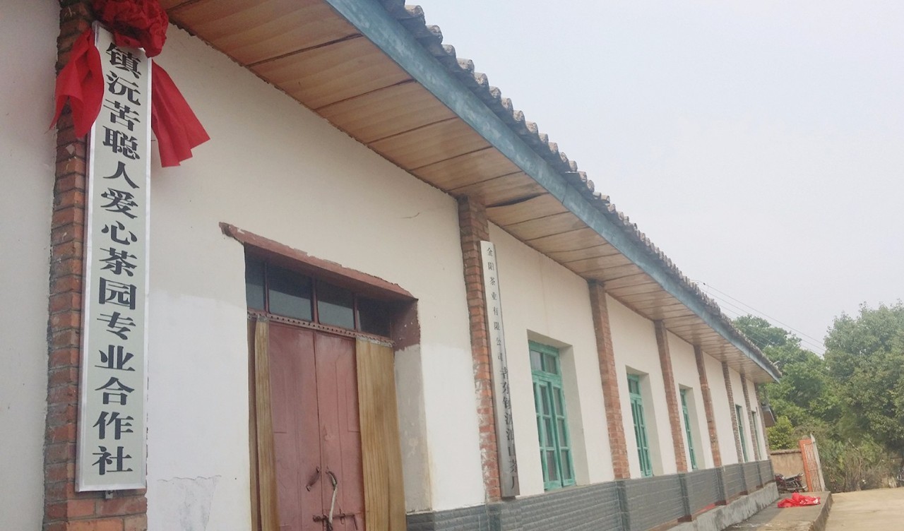 扶贫云南茶,云南茶叶今日热点