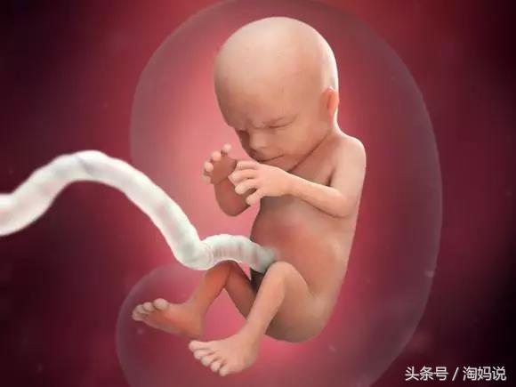 胎儿发育40周全过程关注事项,赞宝宝训练抬头的句子